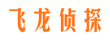 道孚市侦探公司